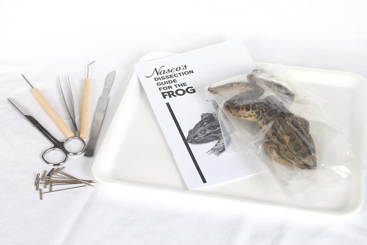 Frog Dissection Kit